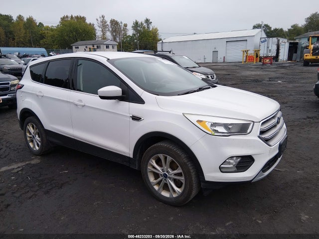 Auction sale of the 2017 Ford Escape Se, vin: 1FMCU9GD2HUC41038, lot number: 46233203