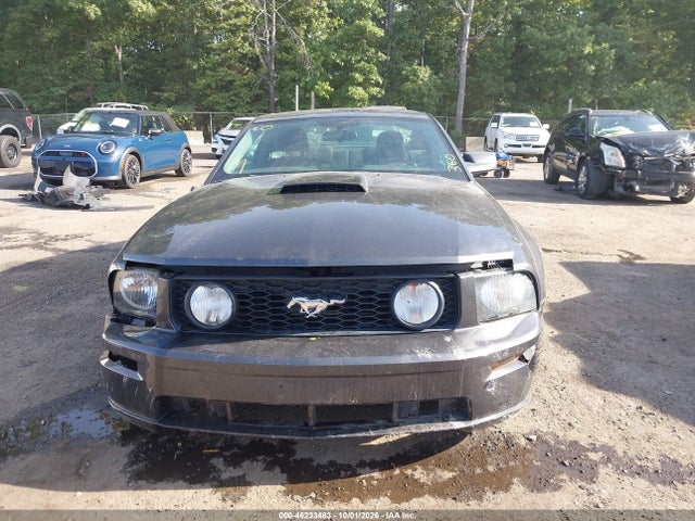 Aukcja sprzedaży 2007 Ford Mustang Gt Deluxe/gt Premium, vin: 1ZVHT82H875235865, numer aukcji: 46233483
