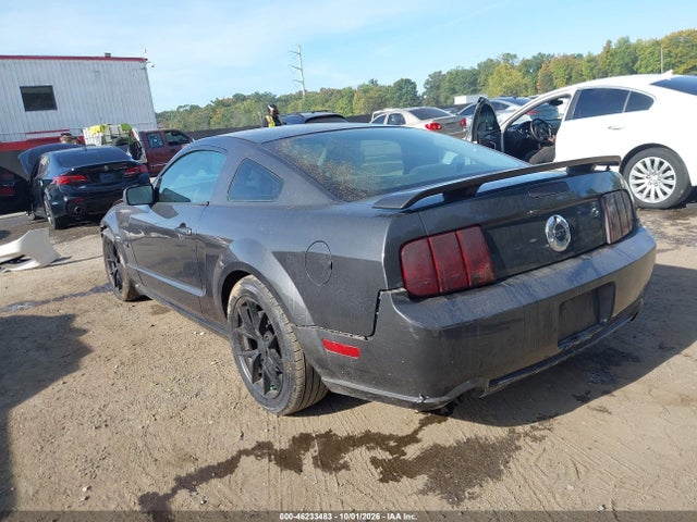Aukcja sprzedaży 2007 Ford Mustang Gt Deluxe/gt Premium, vin: 1ZVHT82H875235865, numer aukcji: 46233483