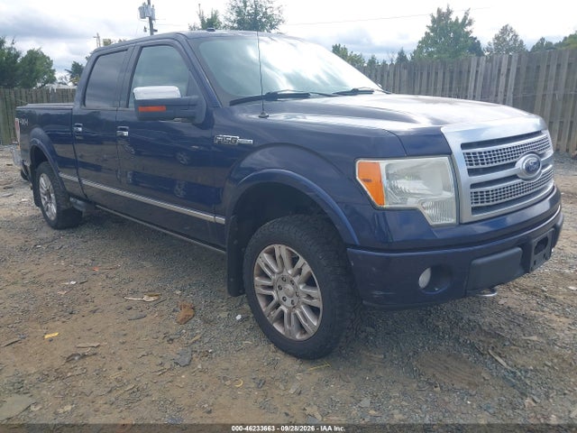 Auction sale of the 2009 Ford F-150 Fx4/king Ranch/lariat/platinum/xl/xlt, vin: 1FTPW14V19FA43877, lot number: 46233663