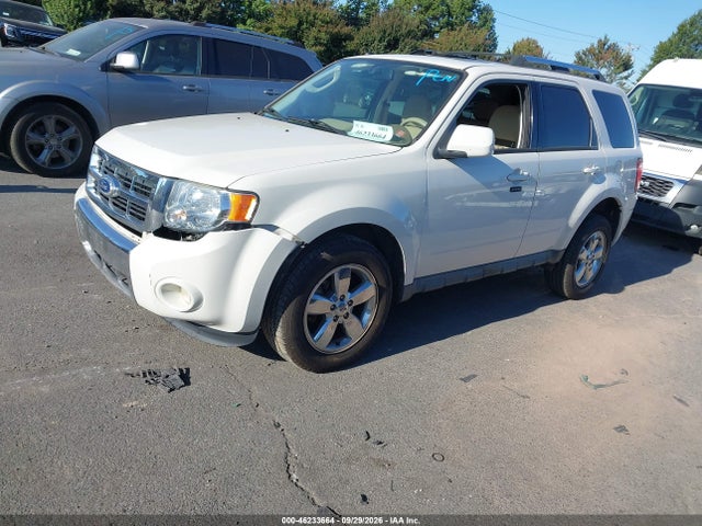 46233664 :رقم المزاد ، 1FMCU0E73AKC87813 vin ، 2010 Ford Escape Limited مزاد بيع