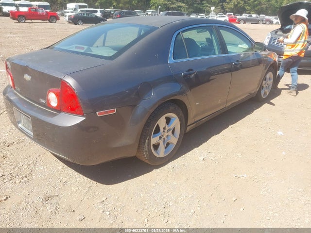 46233701 :رقم المزاد ، 1G1ZA5E06A4113173 vin ، 2010 Chevrolet Malibu Ls مزاد بيع