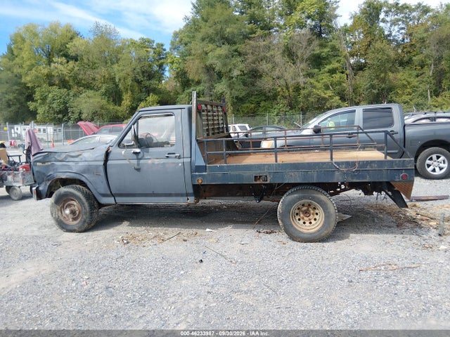 Продажа на аукционе авто 1986 Ford F150, vin: 1FTEF14Y9GNB38806, номер лота: 46233987