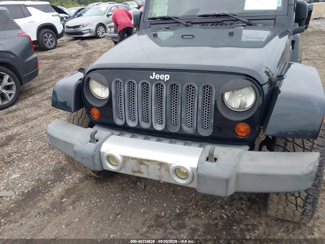 Продажа на аукционе авто 2009 Jeep Wrangler Sahara, vin: 1J4FA54109L729029, номер лота: 46234626