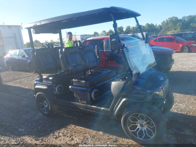 Aukcja sprzedaży 2025 Evolution Golf Cart, vin: EVBE0355305, numer aukcji: 46235019