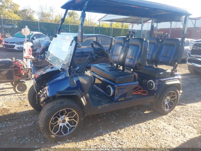 Продажа на аукционе авто 2025 Evolution Golf Cart, vin: EVBE0355305, номер лота: 46235019