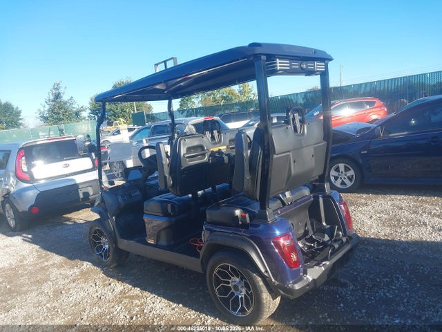 Продажа на аукционе авто 2025 Evolution Golf Cart, vin: EVBE0355305, номер лота: 46235019