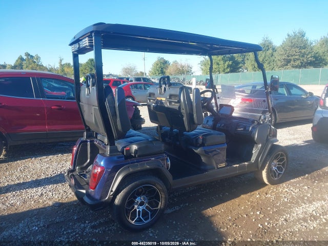 Продажа на аукционе авто 2025 Evolution Golf Cart, vin: EVBE0355305, номер лота: 46235019