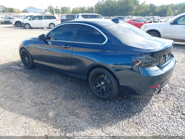 Продаж на аукціоні авто 2014 Bmw 228i, vin: WBA1F5C51EV255822, номер лоту: 46235142
