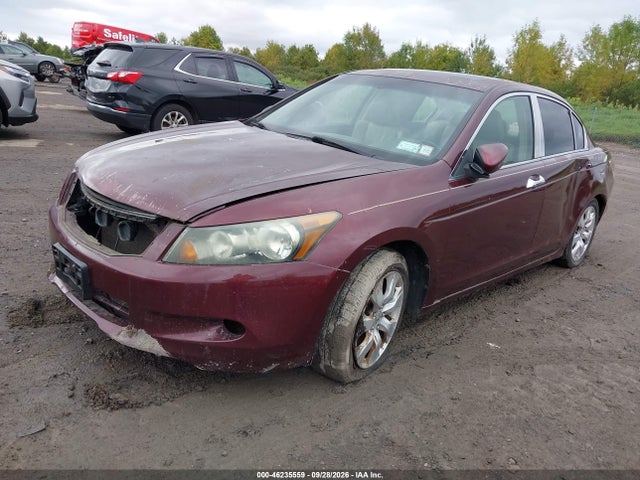 Продажа на аукционе авто 2008 Honda Accord 3.5 Ex-l, vin: 1HGCP36888A024240, номер лота: 46235559