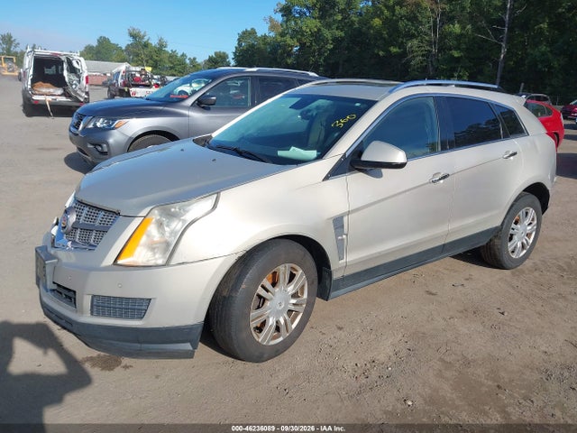 Продажа на аукционе авто 2010 Cadillac Srx Luxury Collection, vin: 3GYFNAEY0AS643064, номер лота: 46236089