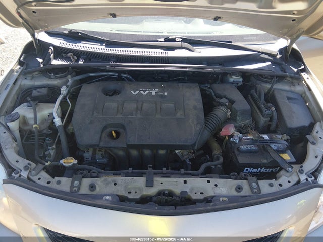 46236152 :رقم المزاد ، 2T1BU40E99C040225 vin ، 2009 Toyota Corolla Le مزاد بيع