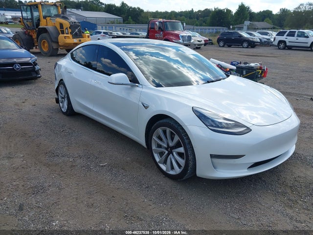 2020 5YJ3E1EB1LF667552 main image