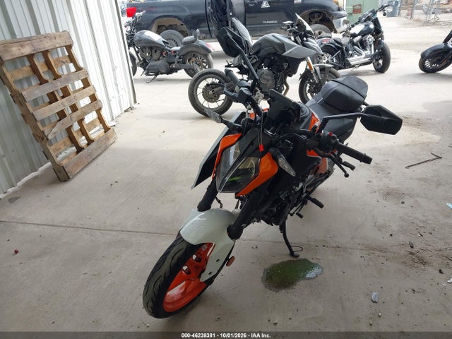 KTM 250 2024 MD2JPE406RN081071 Image 2