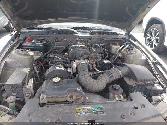 46238817 :رقم المزاد ، 1ZVFT80N055177733 vin ، 2005 Ford Mustang V6 Deluxe/v6 Premium مزاد بيع