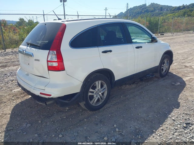 Aukcja sprzedaży 2010 Honda Cr-v Ex, vin: 5J6RE4H56AL084612, numer aukcji: 46239029