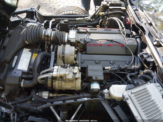 46240518 :رقم المزاد ، 1G1YY22P4T5104203 vin ، 1996 Chevrolet Corvette مزاد بيع