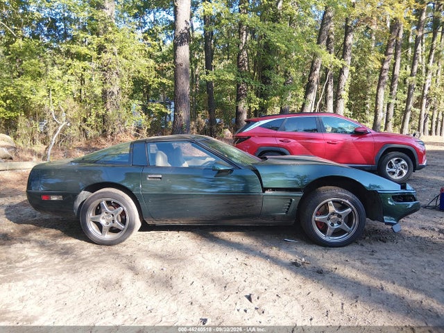 46240518 :رقم المزاد ، 1G1YY22P4T5104203 vin ، 1996 Chevrolet Corvette مزاد بيع