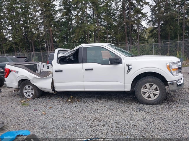 2021 Ford F-150 Xlt მანქანა იყიდება აუქციონზე, vin: 1FTFW1E88MFA62083, აუქციონის ნომერი: 46240799