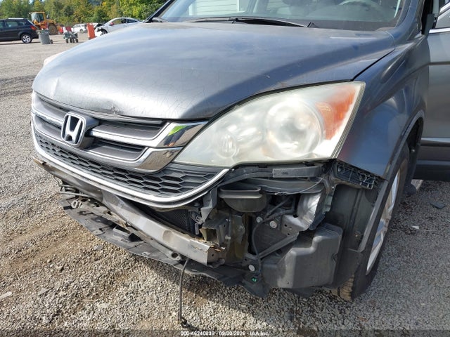 Продаж на аукціоні авто 2010 Honda Cr-v Ex-l, vin: 5J6RE4H73AL047681, номер лоту: 46240838