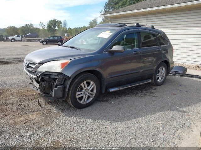Продаж на аукціоні авто 2010 Honda Cr-v Ex-l, vin: 5J6RE4H73AL047681, номер лоту: 46240838