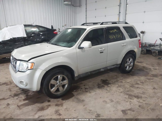 46241561 :رقم المزاد ، 1FMCU04G99KC26320 vin ، 2009 Ford Escape Limited مزاد بيع