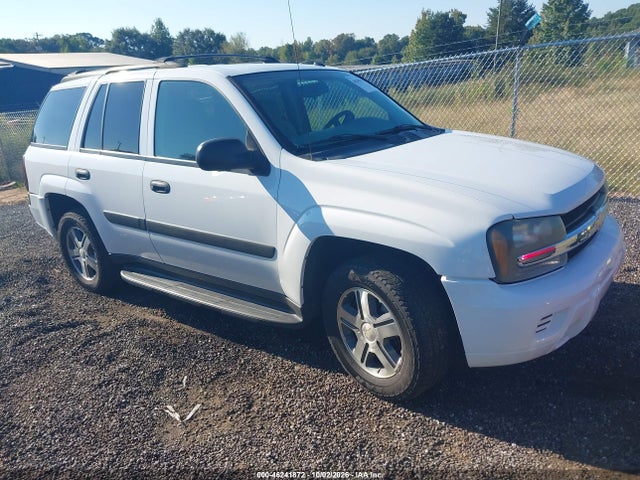 Aukcja sprzedaży 2005 Chevrolet Trailblazer Ls, vin: 1GNDS13S052368857, numer aukcji: 46241872