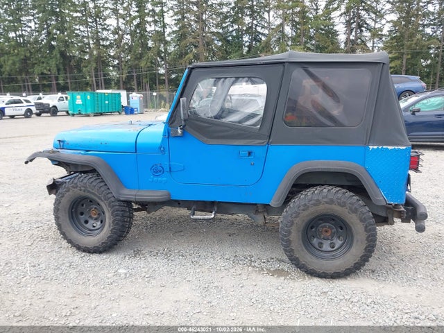 Продажа на аукционе авто 1994 Jeep Wrangler / Yj S, vin: 1J4FY19P6RP413905, номер лота: 46243021