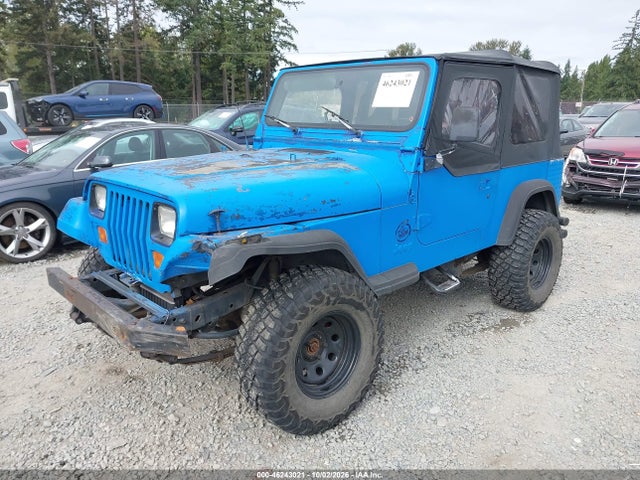 Продажа на аукционе авто 1994 Jeep Wrangler / Yj S, vin: 1J4FY19P6RP413905, номер лота: 46243021