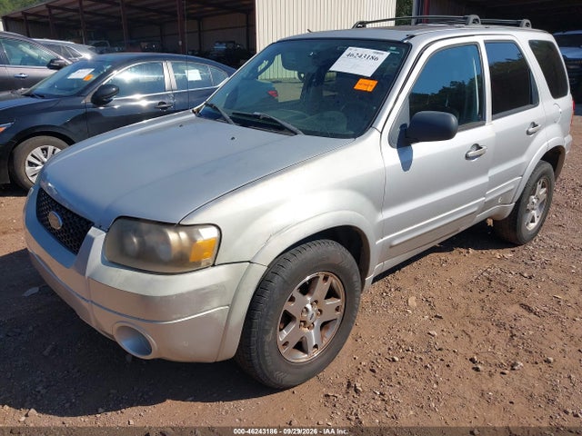 46243186 :رقم المزاد ، 1FMYU04125KC29961 vin ، 2005 Ford Escape Limited مزاد بيع