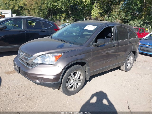 Продажа на аукционе авто 2010 Honda Cr-v Ex, vin: 3CZRE3H51AG701549, номер лота: 46244399