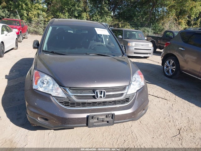Продажа на аукционе авто 2010 Honda Cr-v Ex, vin: 3CZRE3H51AG701549, номер лота: 46244399