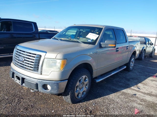 Продаж на аукціоні авто 2010 Ford F-150, vin: 1FTFW1EV5AFD93155, номер лоту: 46244448
