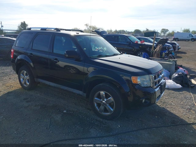 46244492 :رقم المزاد ، 1FMCU0EG0AKD01876 vin ، 2010 Ford Escape Limited مزاد بيع
