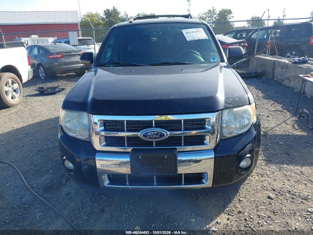 46244492 :رقم المزاد ، 1FMCU0EG0AKD01876 vin ، 2010 Ford Escape Limited مزاد بيع