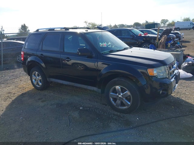 46244492 :رقم المزاد ، 1FMCU0EG0AKD01876 vin ، 2010 Ford Escape Limited مزاد بيع