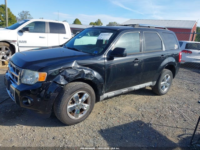 46244492 :رقم المزاد ، 1FMCU0EG0AKD01876 vin ، 2010 Ford Escape Limited مزاد بيع