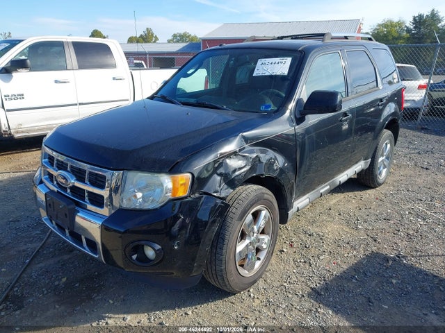 46244492 :رقم المزاد ، 1FMCU0EG0AKD01876 vin ، 2010 Ford Escape Limited مزاد بيع