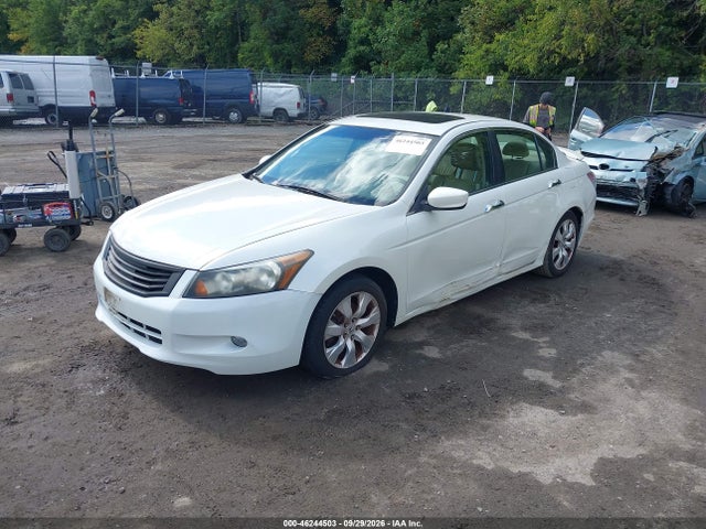 Продаж на аукціоні авто 2010 Honda Accord 3.5 Ex-l, vin: 1HGCP3F84AA001172, номер лоту: 46244503