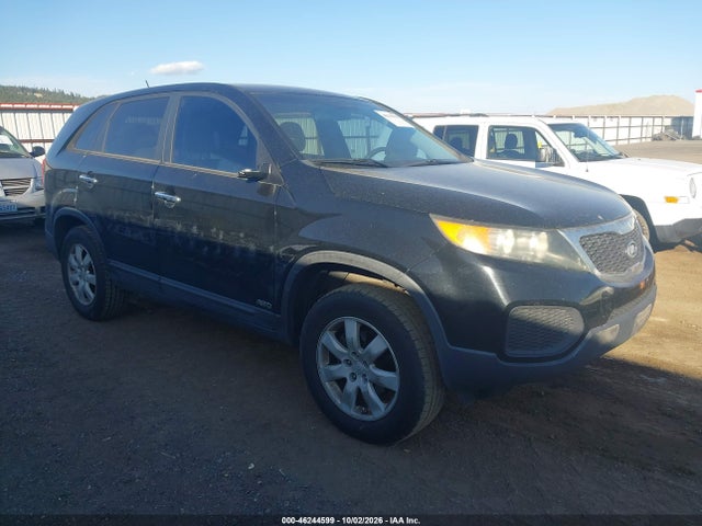 Продаж на аукціоні авто 2011 Kia Sorento Lx, vin: 5XYKTCA18BG021233, номер лоту: 46244599