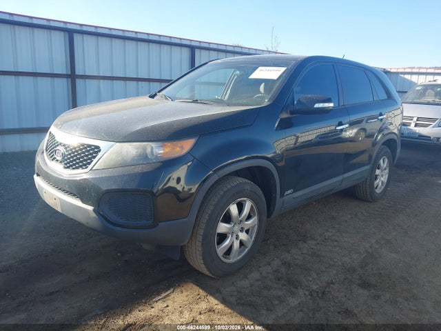 Продаж на аукціоні авто 2011 Kia Sorento Lx, vin: 5XYKTCA18BG021233, номер лоту: 46244599