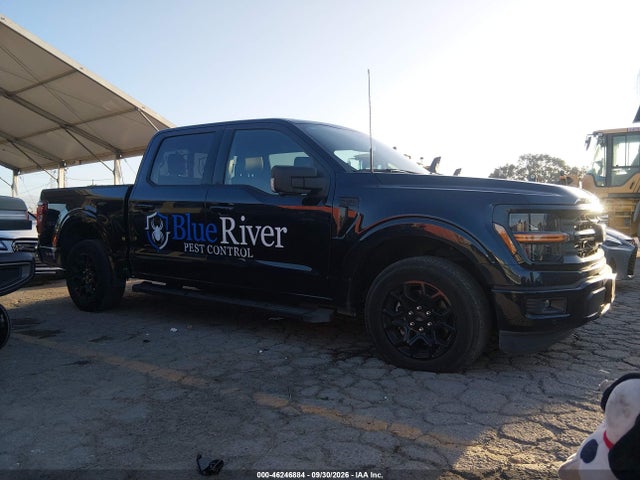 2024 Ford F-150 Xlt მანქანა იყიდება აუქციონზე, vin: 1FTEW3KP3RKE32762, აუქციონის ნომერი: 46246884