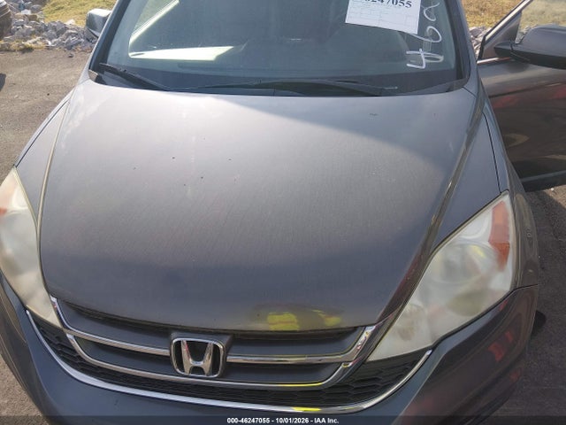 46247055 :رقم المزاد ، 5J6RE4H77AL054195 vin ، 2010 Honda Cr-v Ex-l مزاد بيع