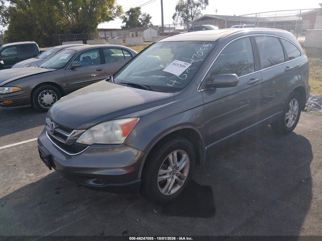 46247055 :رقم المزاد ، 5J6RE4H77AL054195 vin ، 2010 Honda Cr-v Ex-l مزاد بيع