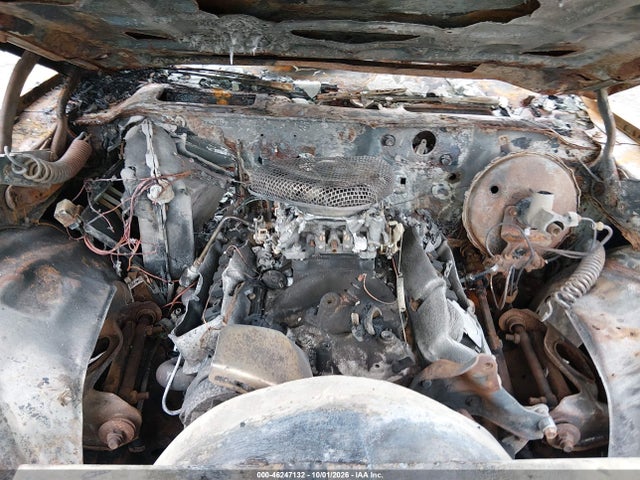 46247132 :رقم المزاد ، 1G1AS87J8BL180074 vin ، 1981 Chevrolet Camaro Berlinetta مزاد بيع