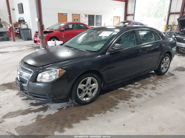 46247516 :رقم المزاد ، 1G1ZB5E1XBF110384 vin ، 2011 Chevrolet Malibu Ls مزاد بيع