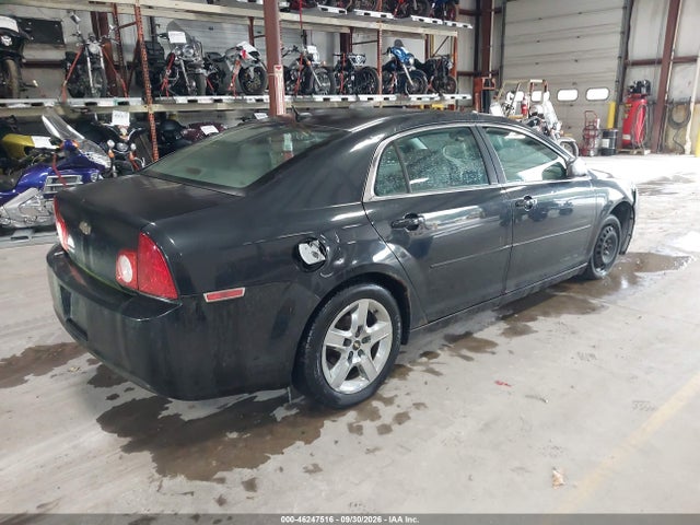 46247516 :رقم المزاد ، 1G1ZB5E1XBF110384 vin ، 2011 Chevrolet Malibu Ls مزاد بيع