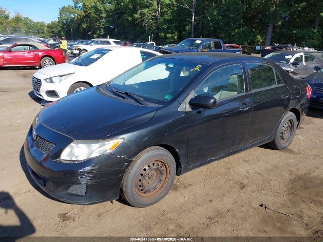 46247598 :رقم المزاد ، JTDBU4EE6AJ075581 vin ، 2010 Toyota Corolla Le مزاد بيع