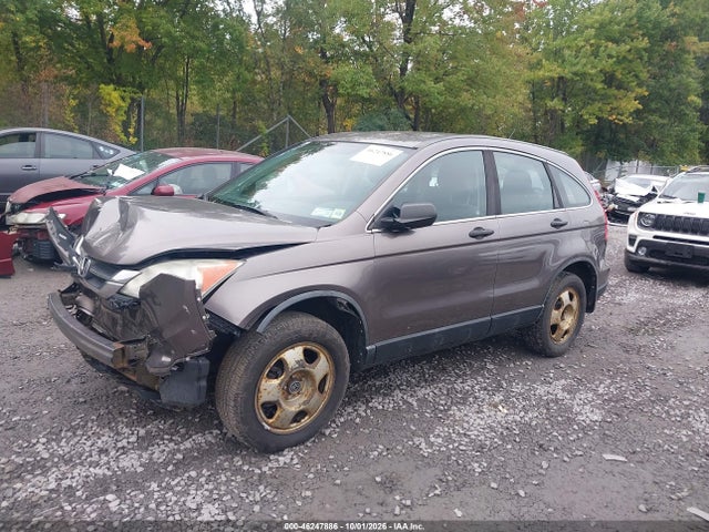 Продаж на аукціоні авто 2011 Honda Cr-v Lx, vin: 5J6RE4H33BL039501, номер лоту: 46247886