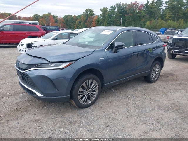 46248661 :رقم المزاد ، JTEAAAAH3MJ035039 vin ، 2021 Toyota Venza Xle مزاد بيع